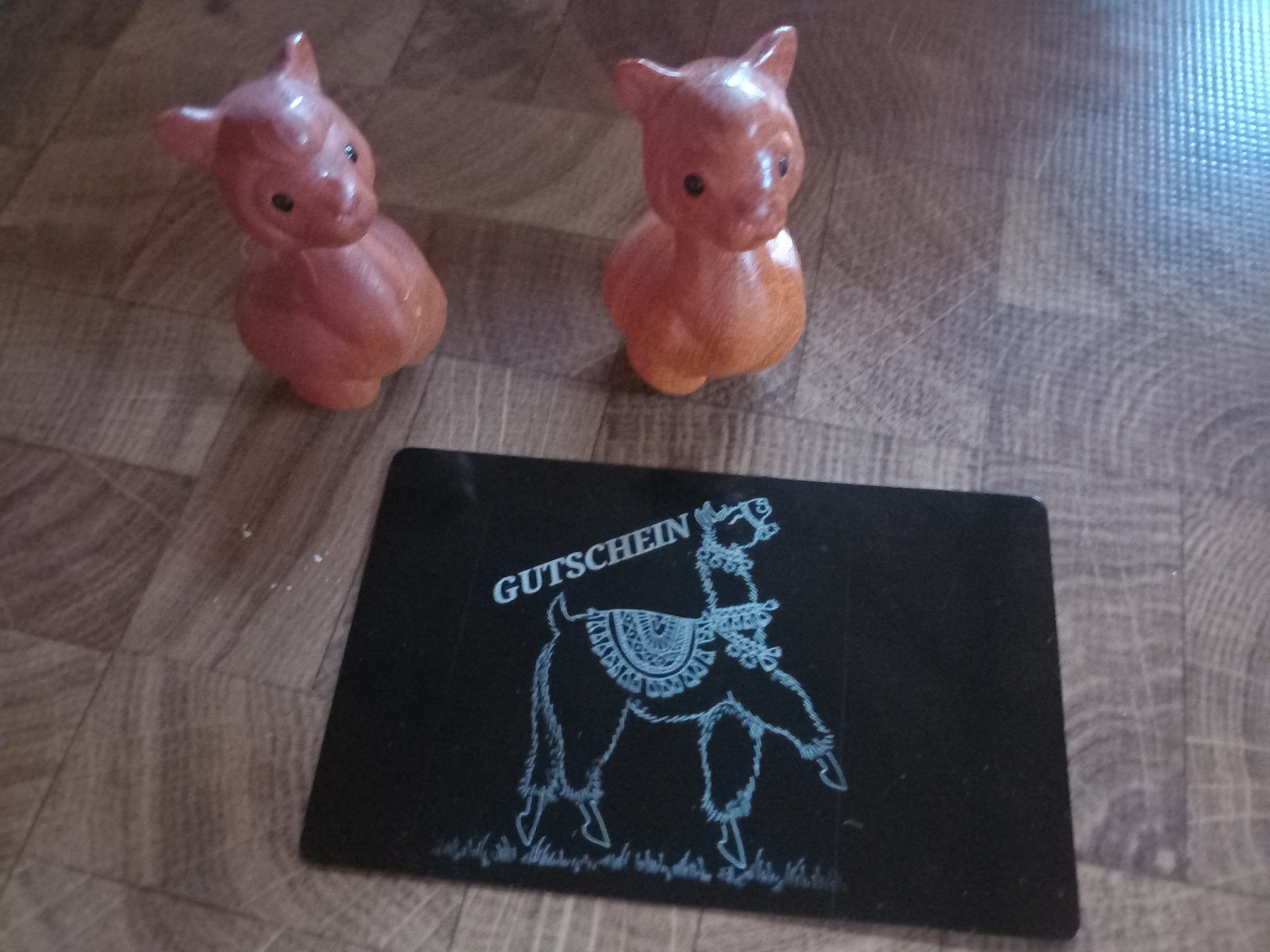 Gutschein Alpakawanderung 5 Personen